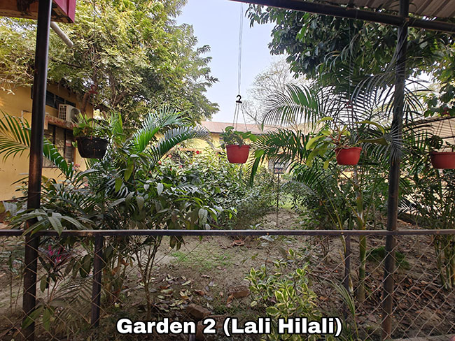 Garden (KHUMJIL), DIET, Morigaon (View 1)